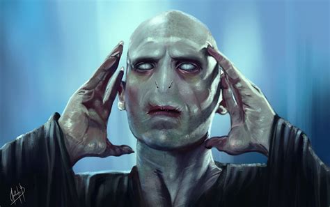 Harry Potter/Voldemort .